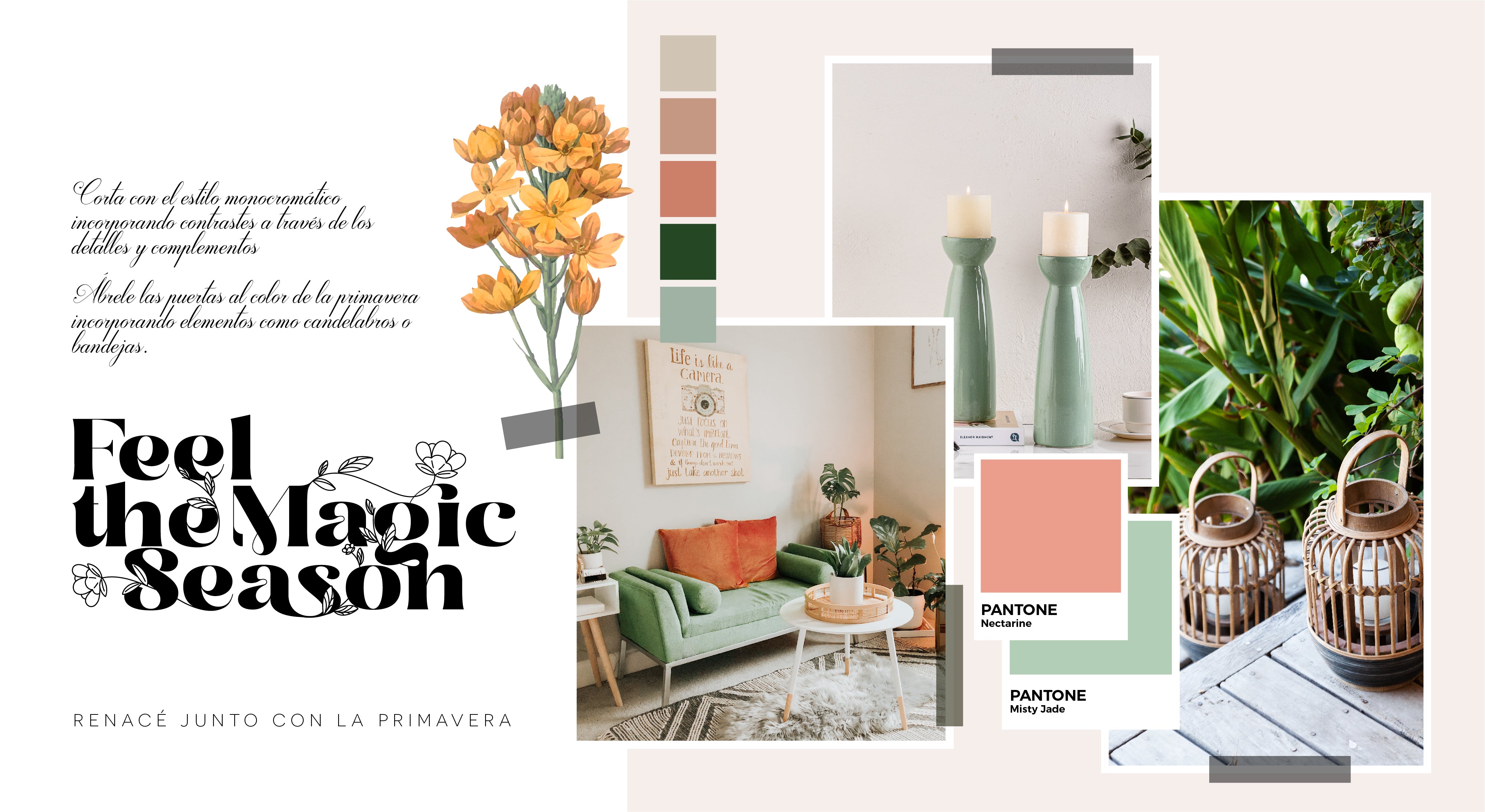 The Candle Shop Air Beauty