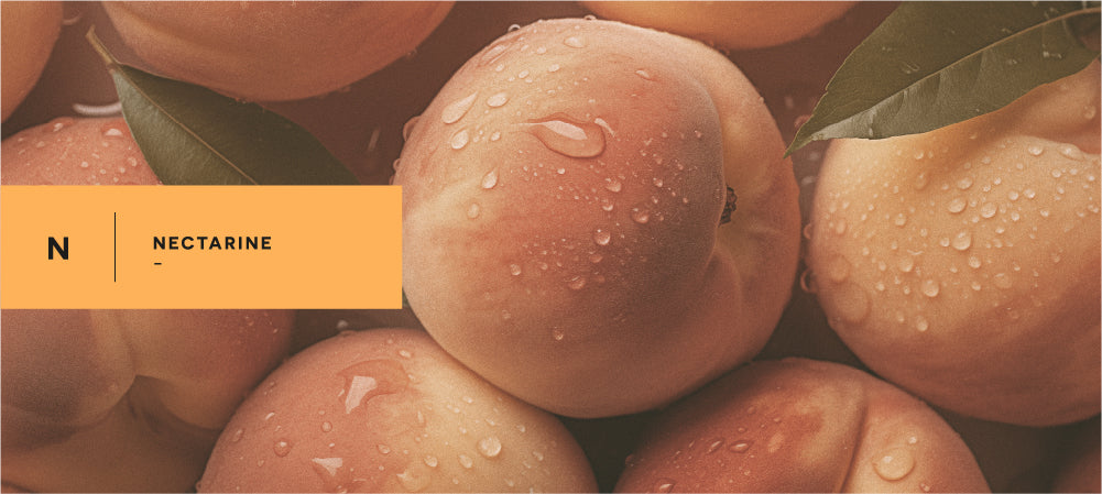 NECTARINE
