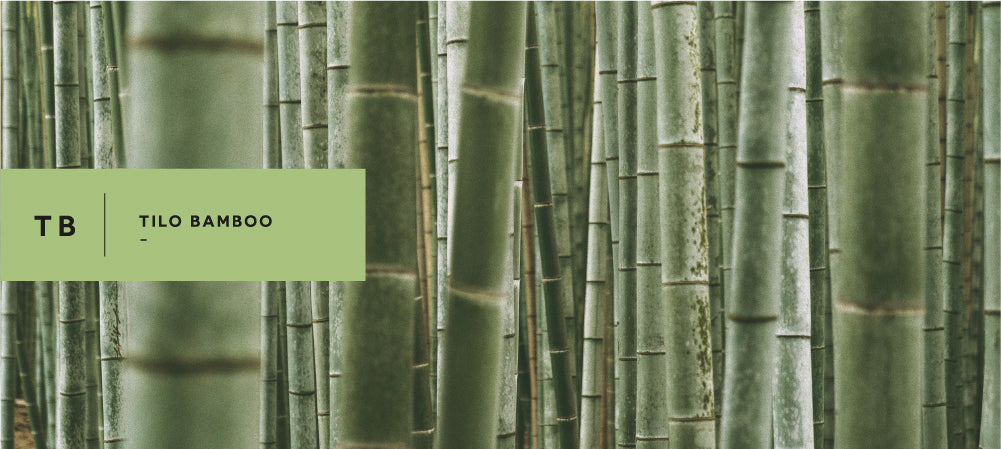TILO BAMBOO