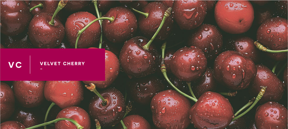 VELVET CHERRY