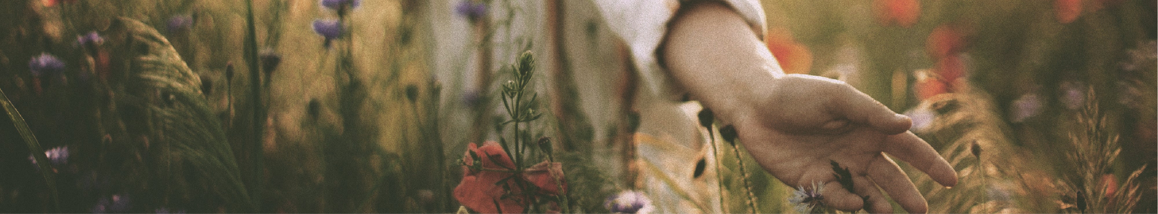 Main Banner