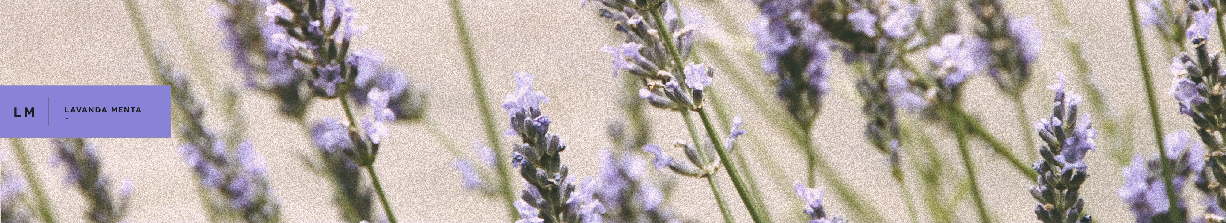 Main Banner