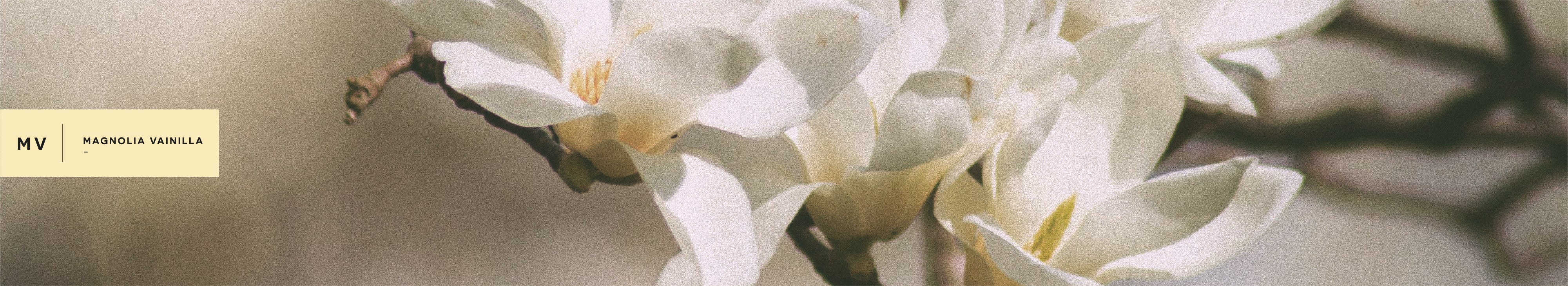 Main Banner